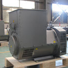 Portable 20kw 50hz Generator AC Diesel Perumahan 110 - 240V SX460 AVR