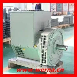 Kelas isolasi H Tegangan nominal 220V Generator AC Single Phase